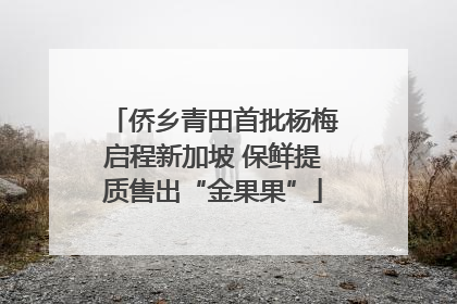 侨乡青田首批杨梅启程新加坡 保鲜提质售出“金果果”