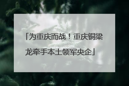 为重庆而战！重庆铜梁龙牵手本土领军央企