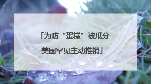 为防“蛋糕”被瓜分 美国罕见主动推销