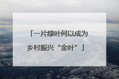 一片绿叶何以成为乡村振兴“金叶”