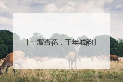 一瓣杏花，千年城韵