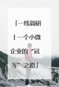 一线调研丨一个小微企业的“冠军”之路
