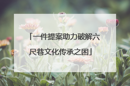 一件提案助力破解六尺巷文化传承之困