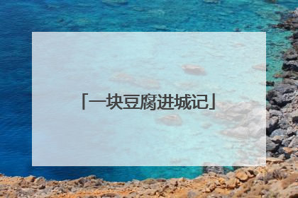 一块豆腐进城记