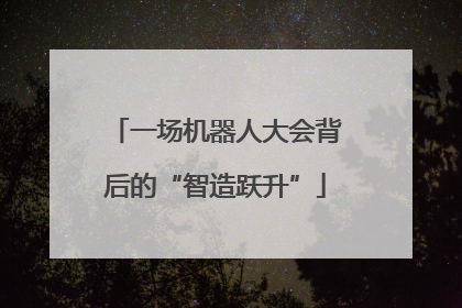 一场机器人大会背后的“智造跃升”