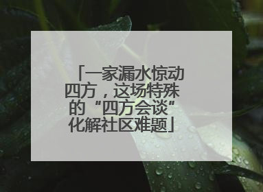 一家漏水惊动四方，这场特殊的“四方会谈”化解社区难题