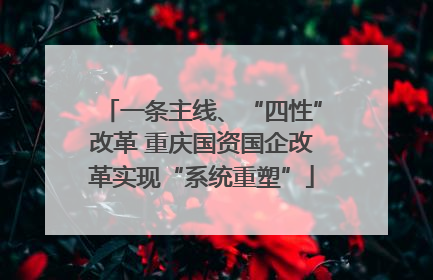 一条主线、“四性”改革 重庆国资国企改革实现“系统重塑”