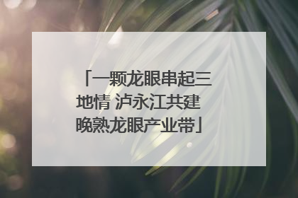一颗龙眼串起三地情 泸永江共建晚熟龙眼产业带