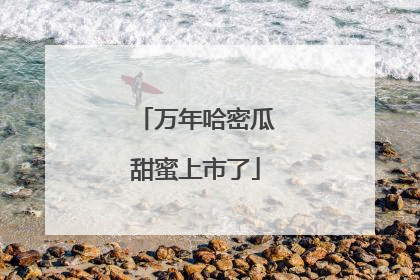 万年哈密瓜甜蜜上市了