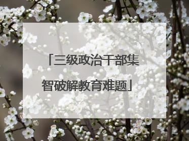 三级政治干部集智破解教育难题
