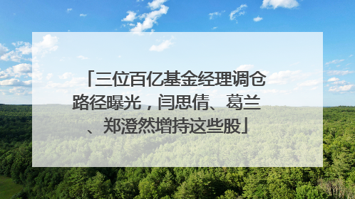 三位百亿基金经理调仓路径曝光，闫思倩、葛兰、郑澄然增持这些股