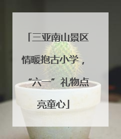 三亚南山景区情暖抱古小学，“六一”礼物点亮童心