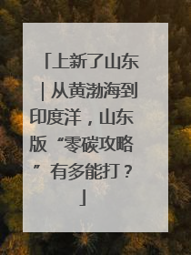 上新了山东｜从黄渤海到印度洋，山东版“零碳攻略”有多能打？