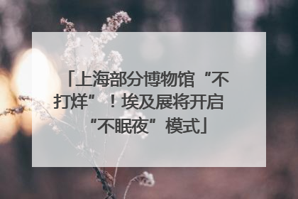 上海部分博物馆“不打烊”！埃及展将开启“不眠夜”模式