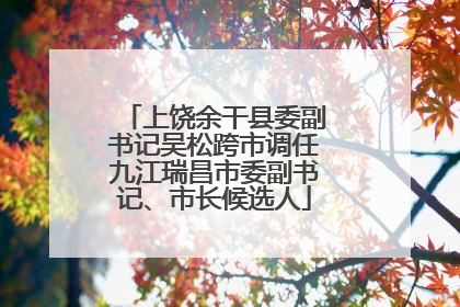 上饶余干县委副书记吴松跨市调任九江瑞昌市委副书记、市长候选人