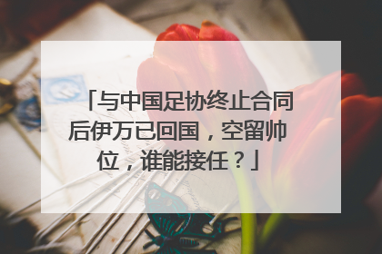 与中国足协终止合同后伊万已回国，空留帅位，谁能接任？