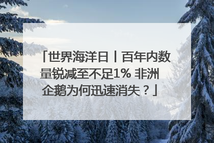 世界海洋日丨百年内数量锐减至不足1% 非洲企鹅为何迅速消失？