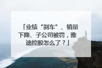 业绩“刹车”、销量下降、子公司被罚，雅迪控股怎么了？