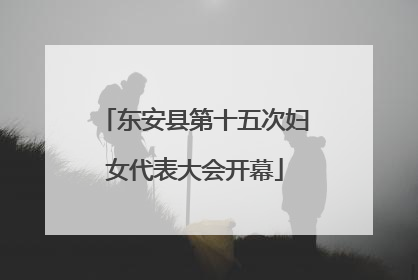 东安县第十五次妇女代表大会开幕
