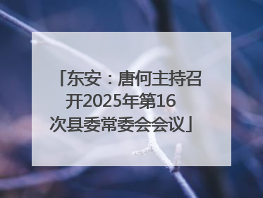 东安：唐何主持召开2025年第16次县委常委会会议