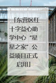 东营区红十字益心助学中心“星星之家”公益项目正式启用