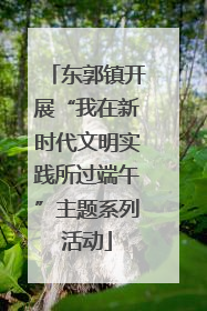 东郭镇开展“我在新时代文明实践所过端午”主题系列活动
