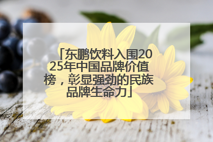 东鹏饮料入围2025年中国品牌价值榜，彰显强劲的民族品牌生命力