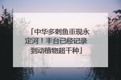 中华多刺鱼重现永定河！丰台已经记录到动植物超千种