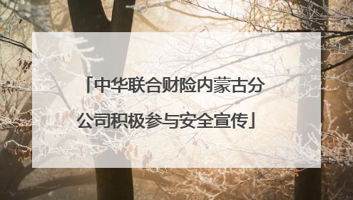 中华联合财险内蒙古分公司积极参与安全宣传