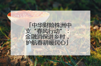 中华财险株洲中支“春风行动”：金融消保进乡村，护航春耕暖民心