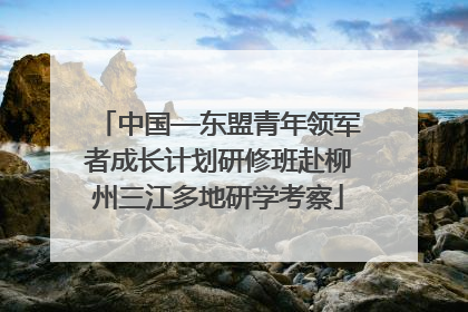 中国—东盟青年领军者成长计划研修班赴柳州三江多地研学考察