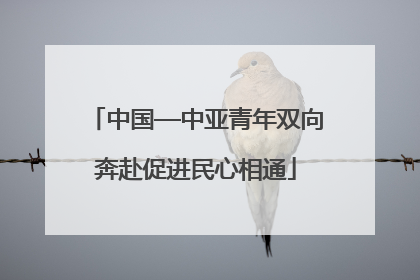 中国—中亚青年双向奔赴促进民心相通
