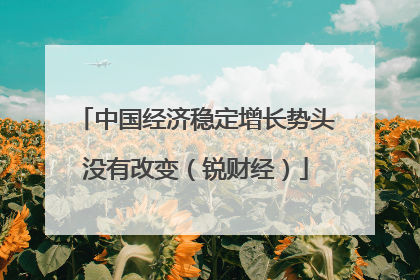 中国经济稳定增长势头没有改变（锐财经）