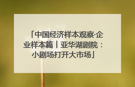 中国经济样本观察·企业样本篇︱亚华湖剧院：小剧场打开大市场