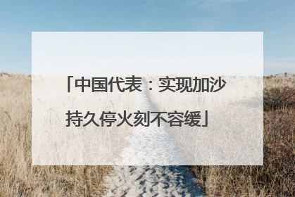 中国代表：实现加沙持久停火刻不容缓