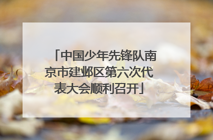 中国少年先锋队南京市建邺区第六次代表大会顺利召开