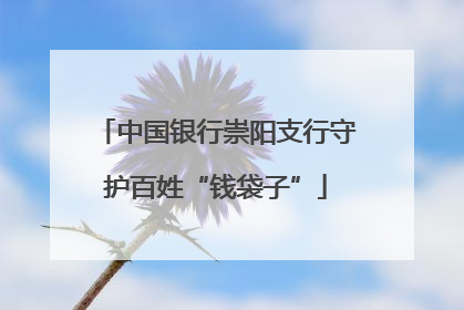 中国银行崇阳支行守护百姓“钱袋子”
