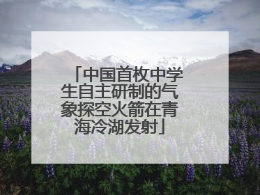 中国首枚中学生自主研制的气象探空火箭在青海冷湖发射