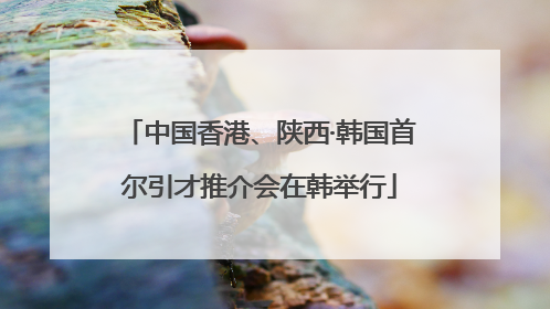 中国香港、陕西·韩国首尔引才推介会在韩举行