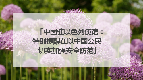中国驻以色列使馆：特别提醒在以中国公民切实加强安全防范