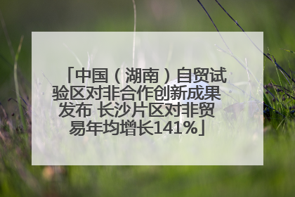 中国（湖南）自贸试验区对非合作创新成果发布 长沙片区对非贸易年均增长141%