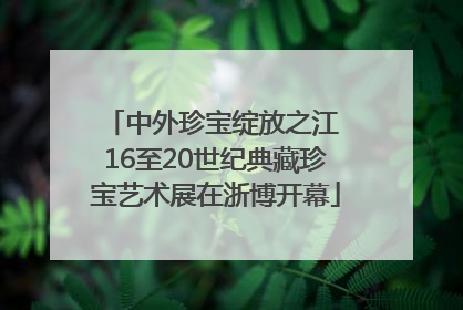 中外珍宝绽放之江 16至20世纪典藏珍宝艺术展在浙博开幕