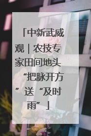 中新武威观｜农技专家田间地头“把脉开方”送“及时雨”