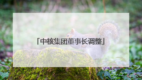 中核集团董事长调整
