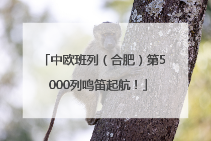 中欧班列（合肥）第5000列鸣笛起航！