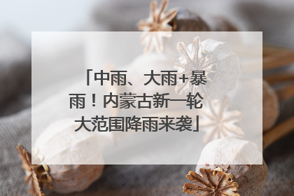 中雨、大雨+暴雨！内蒙古新一轮大范围降雨来袭