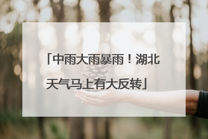 中雨大雨暴雨！湖北天气马上有大反转