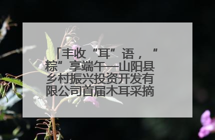 丰收“耳”语，“粽”享端午—山阳县乡村振兴投资开发有限公司首届木耳采摘活动盛大启幕