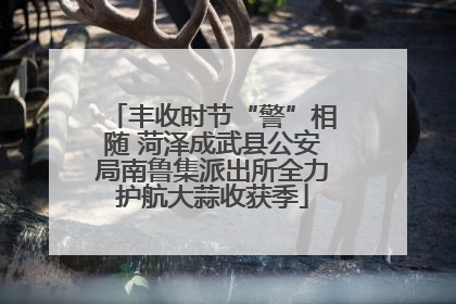 丰收时节“警”相随 菏泽成武县公安局南鲁集派出所全力护航大蒜收获季
