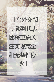 乌外交部：谈判代表团将重点关注实现完全和无条件停火